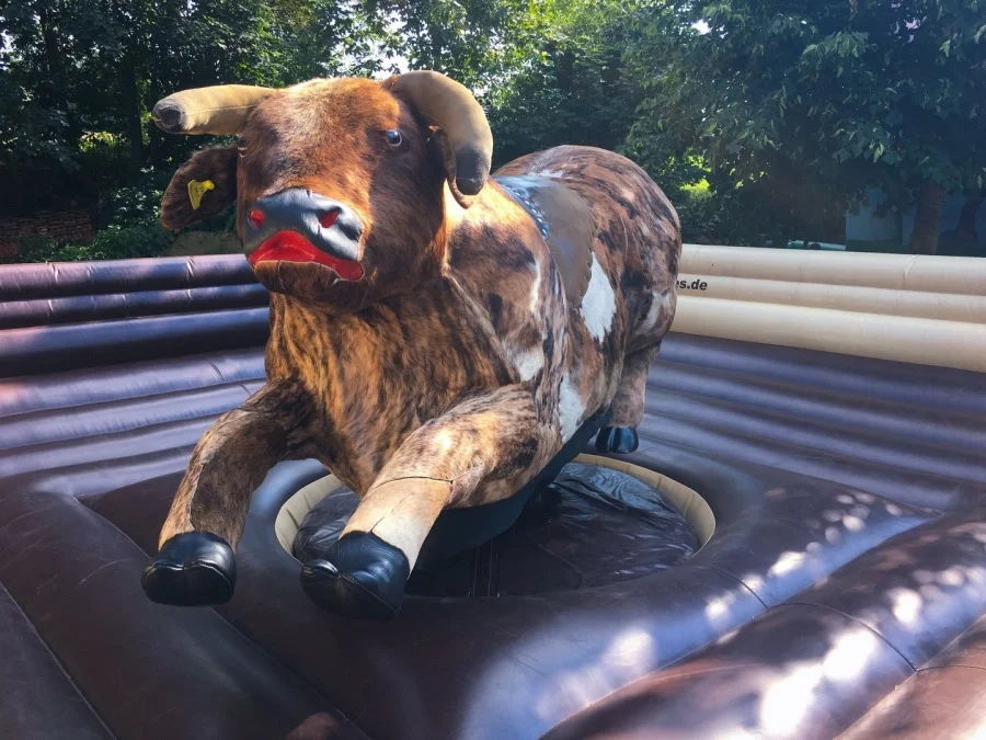 Elektronisches Bullriding